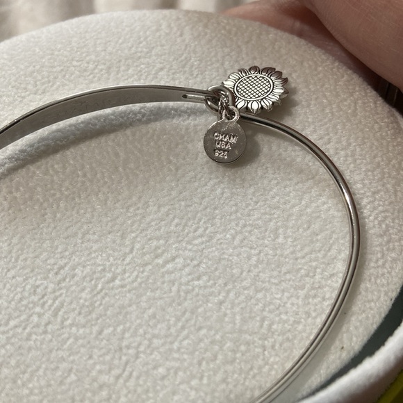 Sterling Silver Chamilia “Sisters” Bracelet NWOT - Picture 3 of 4